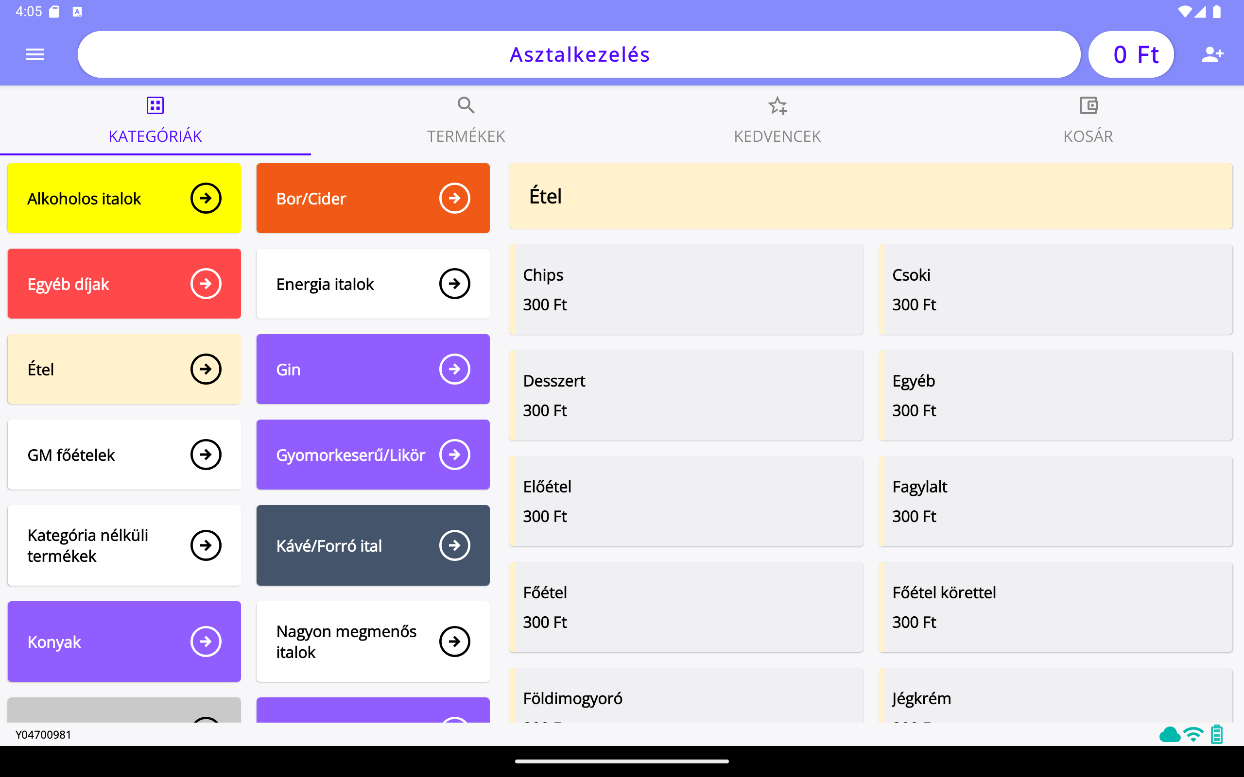 Vendéglátós mód - tablet
nézet